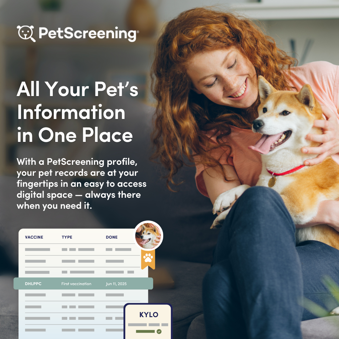 Pet-Friendly Rentals in Hillsborough County: What Landlords Need to Know