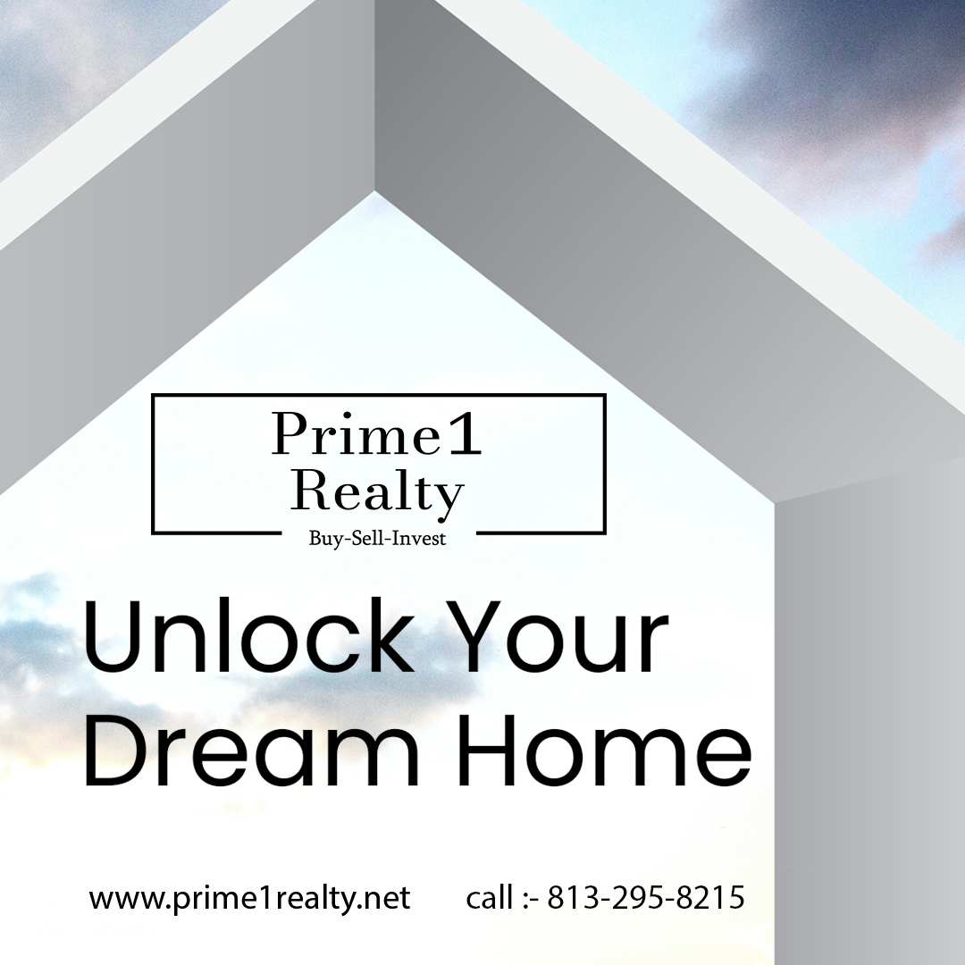 Expert Tampa Bay Realtor: Real Estate Guidance You Can Trust